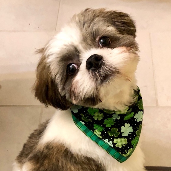 Meet your Posher, Kathy - Picture 1 of 1